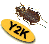 Y2K